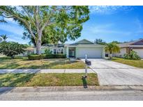 Charming single-story home with well-maintained lawn, mature trees, and a two-car garage at 3414 Rankin Dr, New Port Richey, FL 34655