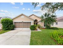 Charming home featuring a well-maintained lawn, mature landscaping, and a two-car garage with screened doors at 7235 Sharpsburg Blvd, New Port Richey, FL 34653