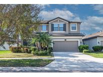 Charming two-story home featuring a spacious garage and beautifully landscaped front yard at 11525 Scarlet Ibis Pl, Riverview, FL 33569