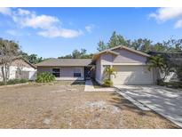 Charming one-story home featuring a well-maintained lawn, mature trees, and an attached two-car garage at 4034 Paddlewheel Dr, Brandon, FL 33511