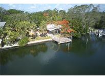 Waterfront home with dock and lush landscaping at 6 Sea S Ln, St Petersburg, FL 33705