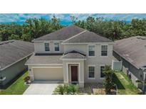 Two-story home with a well-manicured lawn and complemented by landscaping, a driveway and an attached two-car garage at 12150 Ledbury Commons Dr, Gibsonton, FL 33534