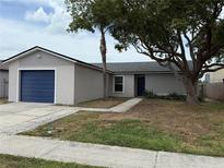 Charming one-story home with a well-maintained front yard and attached garage at 1010 Lochmont Dr, Brandon, FL 33511