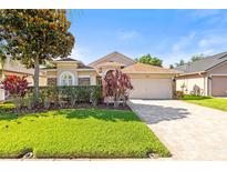 Charming single-story home featuring manicured landscaping and a brick-paved driveway at 16802 Fairbolt Way, Odessa, FL 33556