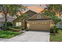 Charming single Gathering home featuring a well manicured lawn and a two-car garage at 1924 Sean Wood Cir, Brandon, FL 33510