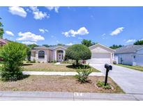 Charming single-story home with manicured lawn, decorative landscaping and a two-car garage at 316 Crystal Goblet Ct, Valrico, FL 33594