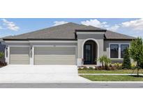 Beautiful single Gathering home featuring a two car garage, manicured lawn and modern architectural details at 5194 Everlong Dr, Apollo Beach, FL 33572