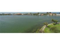 Scenic waterfront view featuring calm water, a distant cityscape, and lush green trees in the foreground at 7912 Sailboat Key S Blvd # 508, South Pasadena, FL 33707