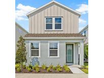 Charming two-story home with a well-manicured lawn and inviting entryway at 2019 Wild Heron Ct, Valrico, FL 33596