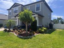 Beautifully landscaped yard featuring a decorative tree, mulch beds and manicured grass around the property at 11219 Paddock Manor Ave, Riverview, FL 33569