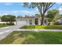 Charming single-story home with well-manicured lawn and mature tree providing shade at 18520 Ambly Ln, Tampa, FL 33647
