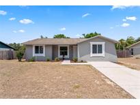 Charming single-story home featuring a well-maintained lawn and freshly painted exterior at 2214 Selkirk St, Valrico, FL 33594