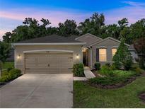Charming single-story home featuring a well-maintained lawn, a two car garage and neatly trimmed landscaping at 12669 Eastpointe Dr, Dade City, FL 33525