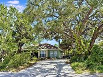 Charming single-story home with lush landscaping and a paved driveway, offering a serene and inviting curb appeal at 3603 E Sterling Cir, Tampa, FL 33629