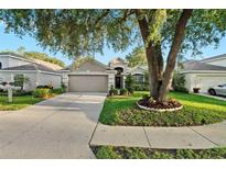 Well-maintained single-story home featuring manicured landscaping and a two-car garage, with a beautiful tree in the front yard at 5520 Terrain De Golf Dr, Lutz, FL 33558
