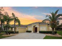 Charming home with a well-manicured lawn and a two-car garage, all set against a colorful sunset at 20254 Ravens End Dr, Tampa, FL 33647