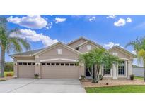 Charming one-story home with a 3-car garage, well-maintained landscaping, and tropical palm trees at 10911 Rockledge View Dr, Riverview, FL 33579