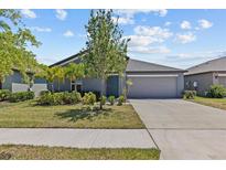 Charming single-story home with a well-manicured lawn, lush landscaping, and an attached two-car garage at 10433 Alder Green Dr, Riverview, FL 33578