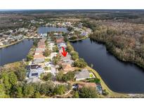 Gorgeous aerial view of a lakeside community featuring homes with mature trees and well-maintained landscaping and lake views at 10506 Sky Flower Ct, Land O Lakes, FL 34638