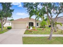 Charming single-story home with well-manicured lawn and lush landscaping, complemented by mature trees and a neutral color palette at 13411 Graham Yarden Dr, Riverview, FL 33579