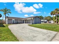 Charming home featuring a gray exterior, palm trees, and a long driveway at 8520 Woodall Ct, Tampa, FL 33615