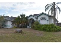 Inviting single Gathering home with a well-manicured lawn and lush landscaping in a quiet neighborhood at 10223 Tarragon Dr, Riverview, FL 33569