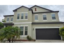Two-story home featuring a dark garage door, neutral stucco exterior and meticulously maintained landscaping at 11839 Cross Vine Dr, Riverview, FL 33579