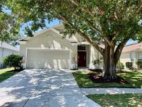 Charming one-story home with a well-maintained lawn and mature shade tree at 1604 Wakefield Dr, Brandon, FL 33511