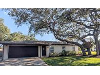 Charming single-story home featuring a well-manicured lawn and mature tree shading the front at 2904 W Marlin Ave, Tampa, FL 33611