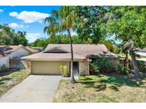 Charming single-story home featuring stone accents, a well-manicured lawn, and a mature palm tree in the front yard at 4101 Hollowtrail Dr, Tampa, FL 33624