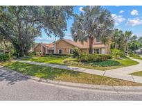 Charming one-story home showcasing a well-manicured lawn, mature trees, and lush landscaping at 6407 E 112Th Ave, Temple Terrace, FL 33617