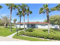 Charming single-story home with a lush green lawn and mature palm trees creating a tropical feel at 10737 Scenic Dr, Port Richey, FL 34668