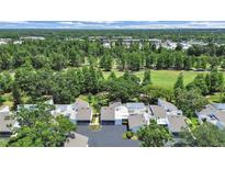 Enjoy this community aerial view, surrounded by mature trees and lush landscaping at 14205 Cypress Ter, Tampa, FL 33618