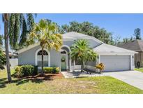 Charming single-story home with well-manicured lawn, lovely landscaping, and a two-car garage at 18013 Palm Breeze Dr, Tampa, FL 33647