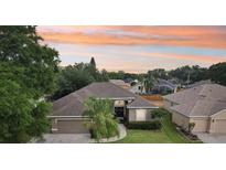 Beautiful home with a well-manicured lawn and a lovely landscape, perfect for enjoying the outdoors at 4511 Swift Cir, Valrico, FL 33596