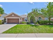 Charming single-story home with a well-maintained lawn and attached two-car garage at 13742 Artesa Bell Dr, Riverview, FL 33579