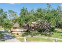Charming single-Gathering home featuring a well-manicured lawn and mature shade trees in a tranquil suburban setting at 13906 Captains Reef Ct, Tampa, FL 33624