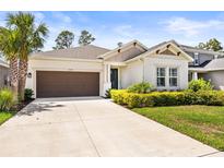 Charming single-Gathering home featuring a well-manicured lawn and a brown two-car garage at 2644 Leafwing Ct, Palm Harbor, FL 34683
