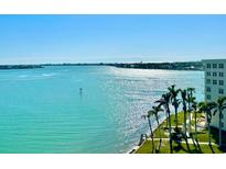 Expansive water views stretch out from the beachfront with palm trees and blue skies above at 6287 Bahia Del Mar Cir # 801, St Petersburg, FL 33715