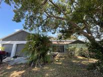 Charming single-story home with a well-manicured front yard and mature trees at 7421 Mulligan Ct, Port Richey, FL 34668