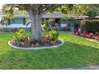 Charming home with a lush lawn and vibrant landscaping, including a large shade tree and colorful flowerbeds at 12021 144Th St, Largo, FL 33774