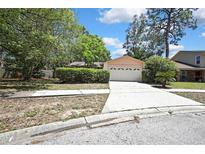 Charming single-story home featuring a two-car garage, a well-maintained lawn, and mature trees at 14615 Daybreak Dr, Lutz, FL 33559