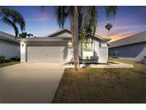 Charming home featuring a two-car garage and a well-manicured lawn with mature palm trees at 518 Royal Ridge St, Valrico, FL 33594