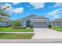 Charming single-story home featuring a well-manicured lawn, lush landscaping, and a two-car garage at 5539 Silver Sun Dr, Apollo Beach, FL 33572