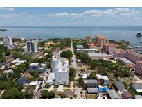 A scenic aerial view of the cityscape with ocean views and lush greenery at 700 Beach Ne Dr # 705, St Petersburg, FL 33701