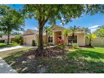 Beautiful single-story home with tropical landscaping and mature trees in a well-maintained neighborhood at 8211 Canyon Creek Way, Tampa, FL 33647