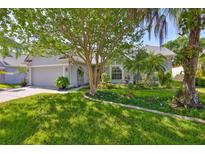 Charming single-story home featuring a well-manicured lawn and beautiful landscaping, including a large shade tree at 7649 Nottinghill Sky Dr, Apollo Beach, FL 33572