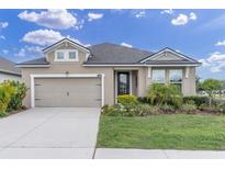 Charming single-story home featuring a two-car garage, landscaped yard, and inviting entrance at 11626 Blue Woods Dr, Riverview, FL 33569