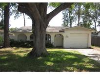 Charming single-story home featuring a well-manicured front lawn and a large tree providing ample shade at 162 Sw Lincoln N Cir, St Petersburg, FL 33703