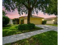 Charming single-Gathering home featuring lush landscaping, a two-car garage, and a well-maintained lawn at 9551 Maxson Dr, Land O Lakes, FL 34638